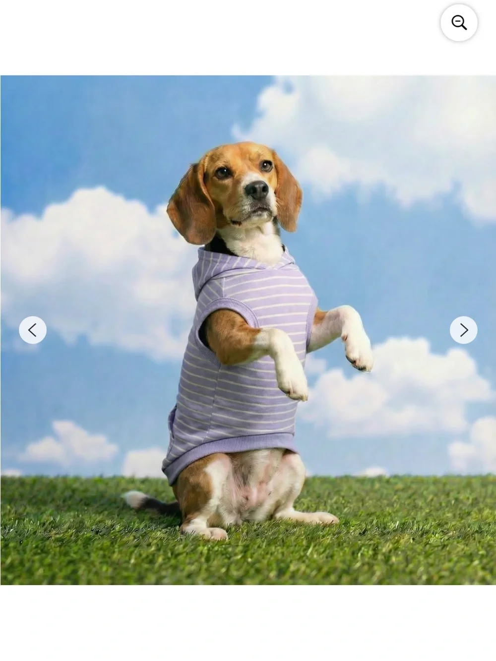 Oodles Purple Striped Strawberry Dog Hoodie Sweatshirt Medium & Large